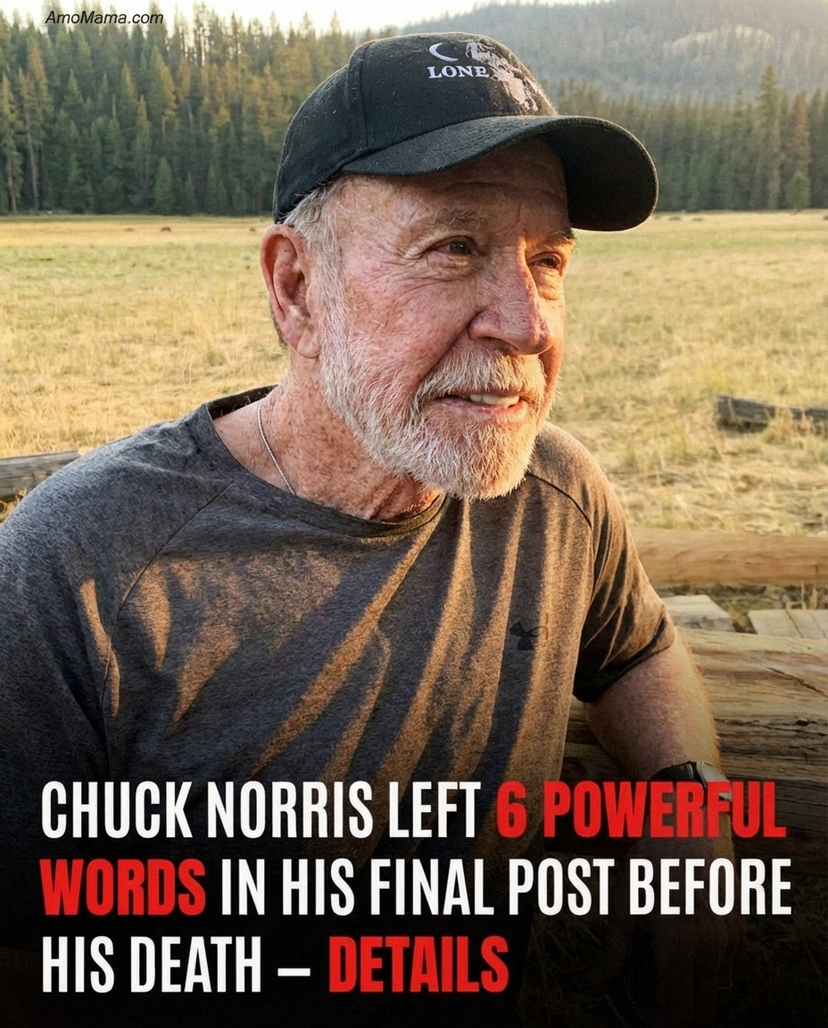 Fans Shocked After Sudden News About Chuck Norris at 86—What We Know So Far