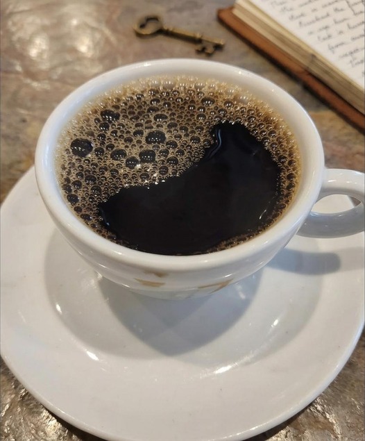 How Your Morning Coffee Can Support Energy, Focus, and Daily Wellness