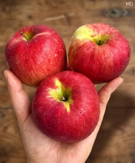 Why Apples Remain One of the Most Popular Fruits for Healthy Living