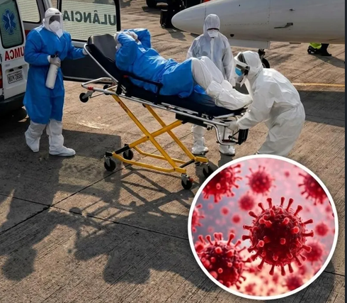 WHO Issues Reassuring Update on Hantavirus Situation, Clarifies Why Pandemic Risk Remains Low