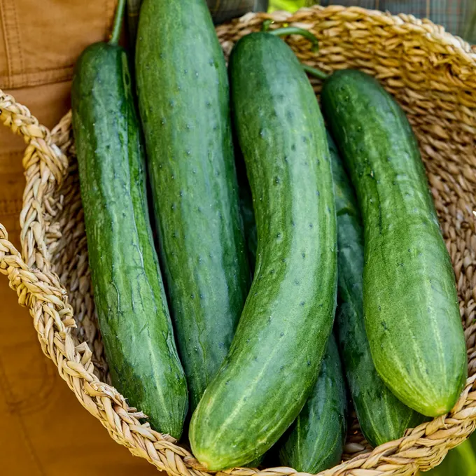Experts Share the Benefits of Adding Cucumbers to Your Salads