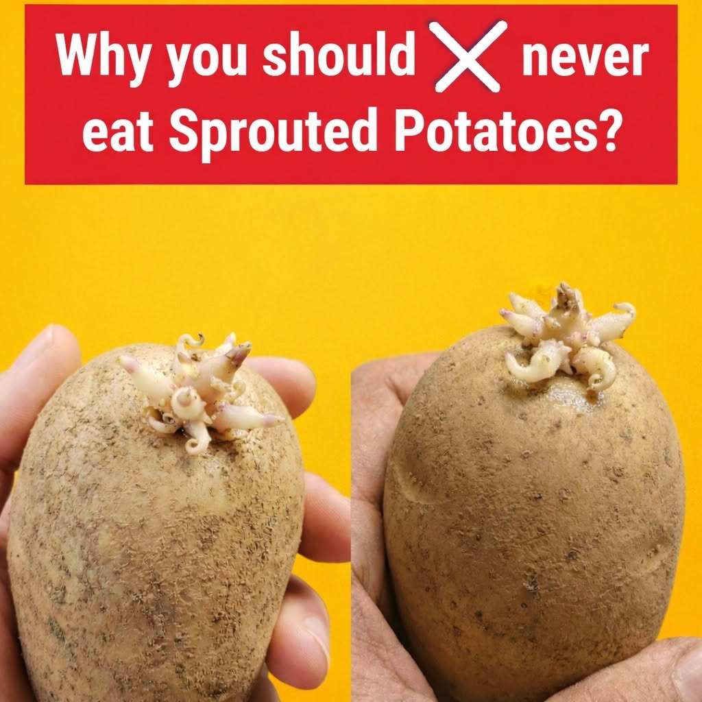 Sprouted Potatoes: When They’re Safe to Cook (and When to Toss Them)