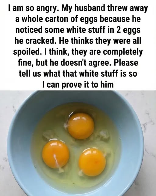 That White String in Your Egg Isn’t a Flaw — Here’s What It Really Means