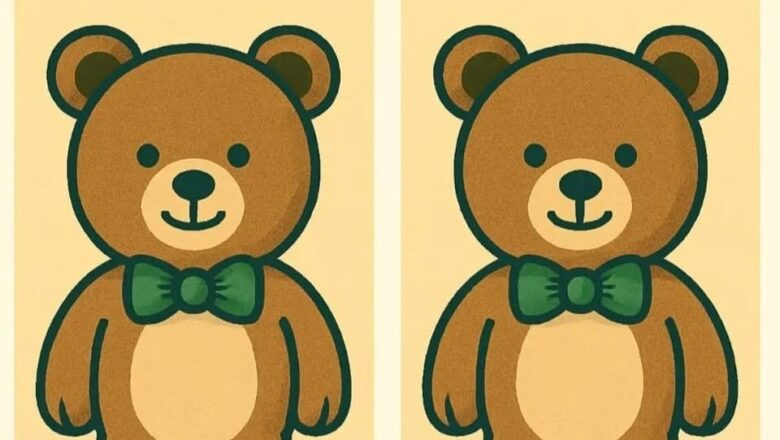 Spot the Difference: Two Teddy Bears
