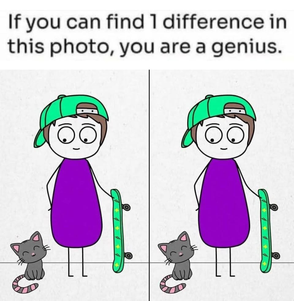 Spot 1 Difference: Skater Boy and the Mystery Cat.