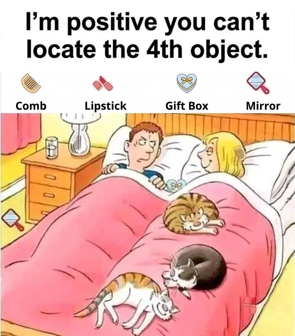 Can You Spot the 4 Secret Objects Hidden in This Bed?