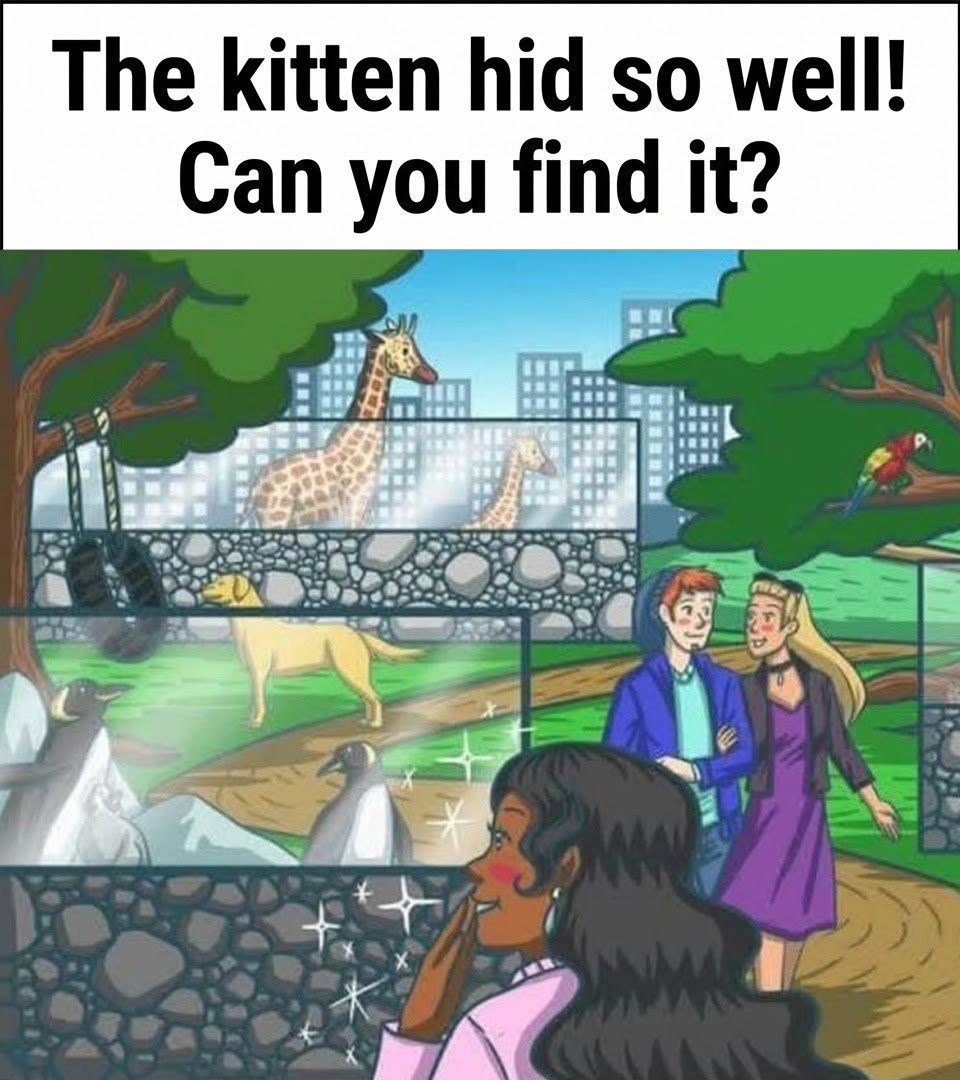 The kitten hid so well! Can you find it? The kitten hid so well! Can you find it?