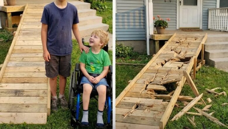 My Son Built a Ramp for a Neighbor’s Child—When It Was Destroyed, What Happened Next Changed the Whole Street