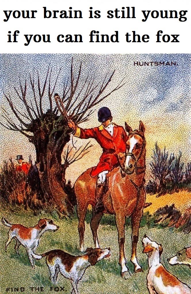 Find the fox — it’s almost impossible! Find the fox — it’s almost impossible!