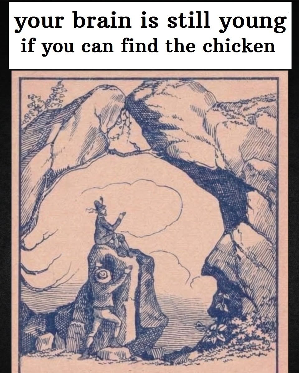 10-Second Challenge: Find the Chicken! 10-Second Challenge: Find the Chicken!