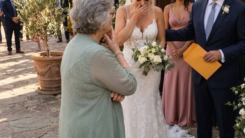 My Son’s Bride Uninvited Me From the Wedding — Then I Arrived With the Husband She Had Never Divorced